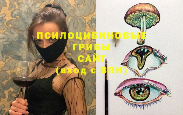 PSILOCYBIN Баксан