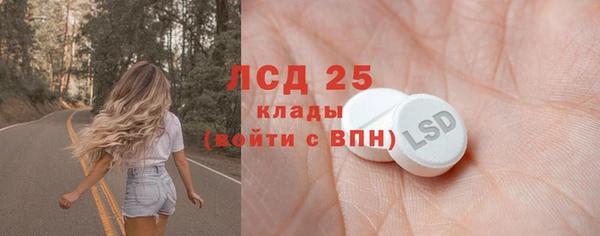PSILOCYBIN Баксан