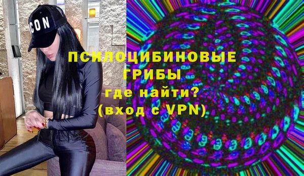 PSILOCYBIN Баксан