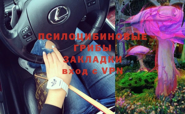 первитин Балахна