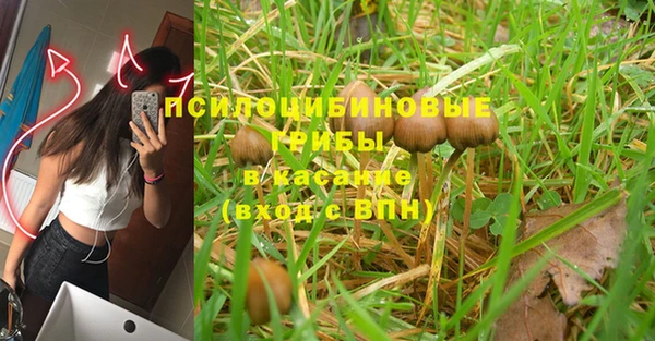 PSILOCYBIN Баксан