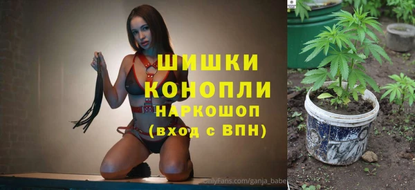 PSILOCYBIN Баксан