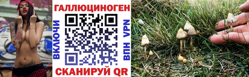 Галлюциногенные грибы мицелий  Купить закладки  Арсеньев 